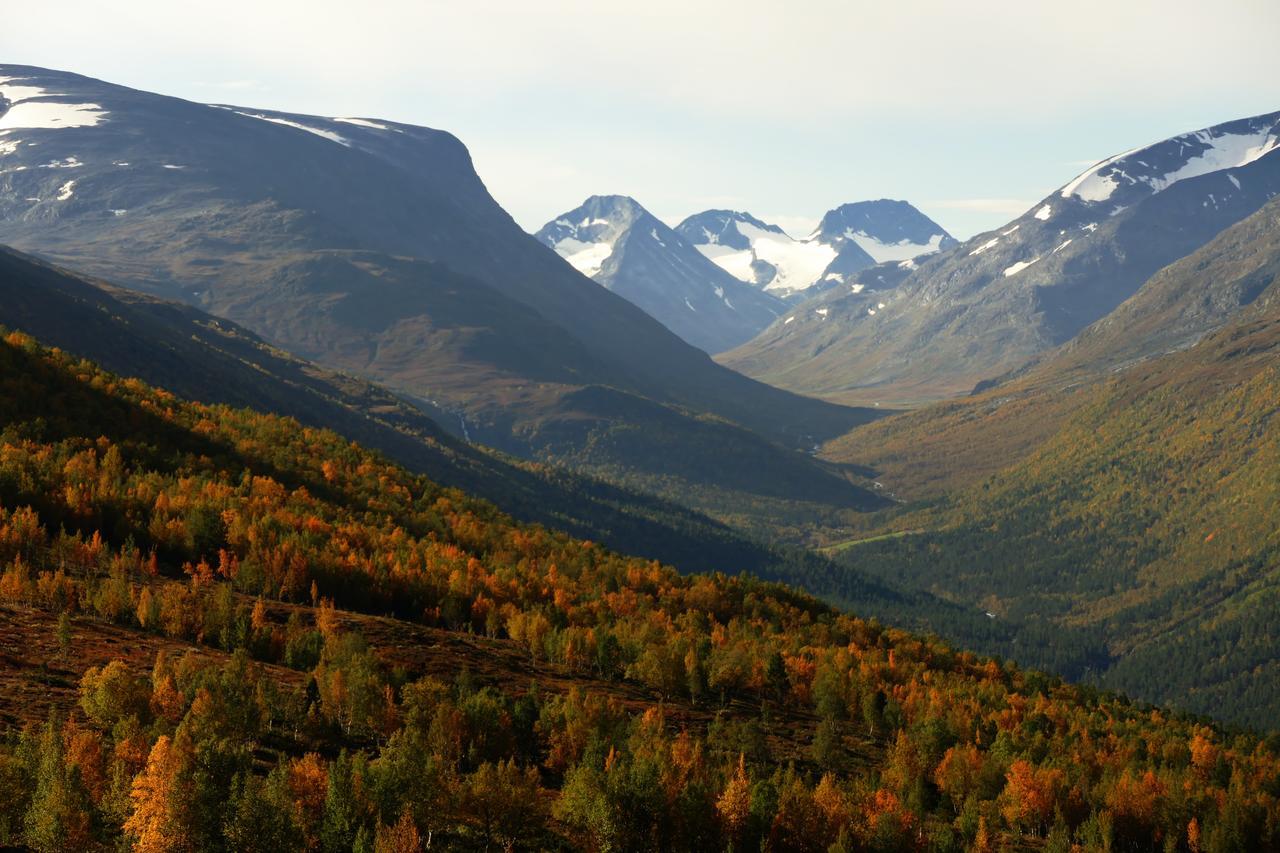 Strind Gard, Visdalssetra Villa Boverdalen ภายนอก รูปภาพ