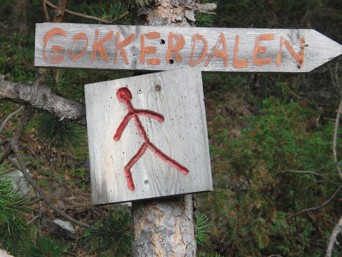 Strind Gard, Visdalssetra Villa Boverdalen ภายนอก รูปภาพ